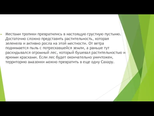 Местами тропики превратились в настоящую грустную пустыню. Достаточно сложно представить растительность, которая