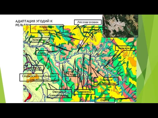 АДАПТАЦИЯ УГОДИЙ К РЕЛЬЕФУ Кормовые севообороты Сенокосно-пастбищные севообороты Сенокосы Овощные севообороты Полевые