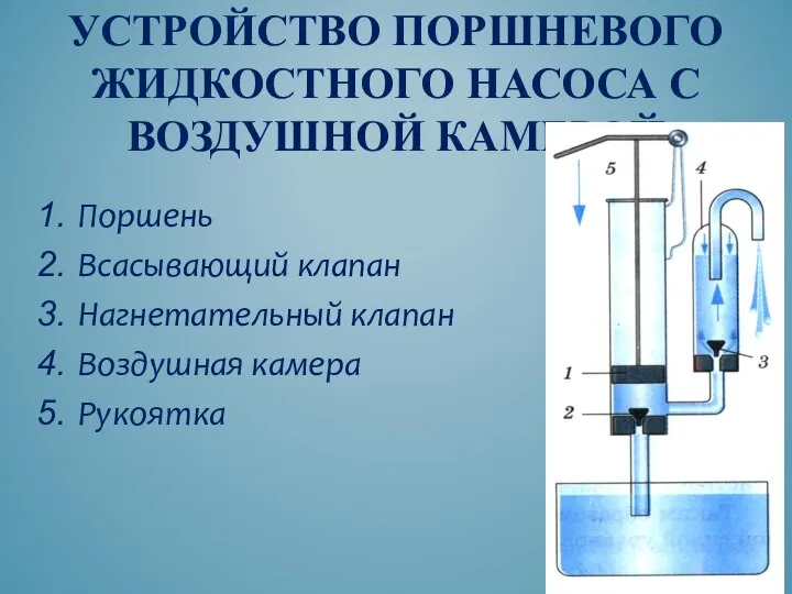 Поршень Всасывающий клапан Нагнетательный клапан Воздушная камера Рукоятка УСТРОЙСТВО ПОРШНЕВОГО ЖИДКОСТНОГО НАСОСА С ВОЗДУШНОЙ КАМЕРОЙ