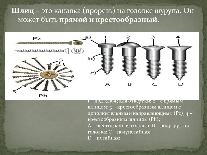 Шлиц – это канавка (прорезь) на головке шурупа. Он может быть прямой