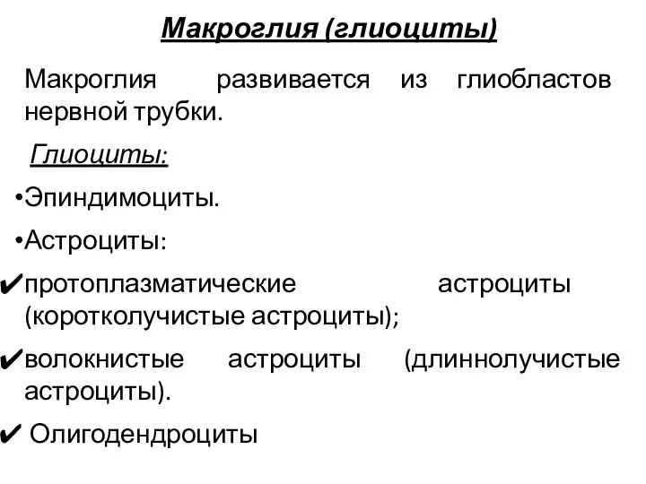 Макроглия (глиоциты) Макроглия развивается из глиобластов нервной трубки. Глиоциты: Эпиндимоциты. Астроциты: протоплазматические