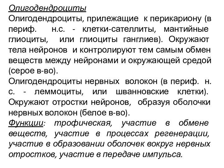 Олигодендроциты Олигодендроциты, прилежащие к перикариону (в периф. н.с. - клетки-сателлиты, мантийные глиоциты,