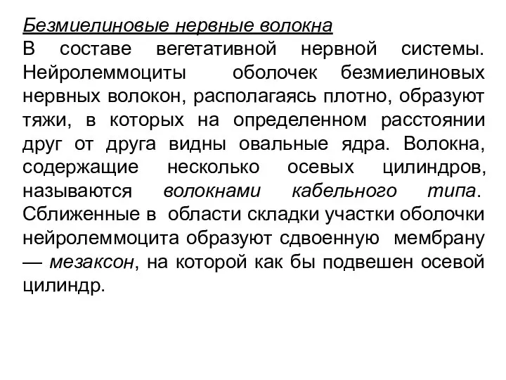 Безмиелиновые нервные волокна В составе вегетативной нервной системы. Нейролеммоциты оболочек безмиелиновых нервных