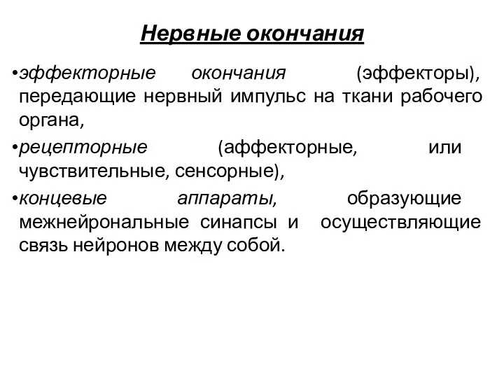 Нервные окончания эффекторные окончания (эффекторы), передающие нервный импульс на ткани рабочего органа,