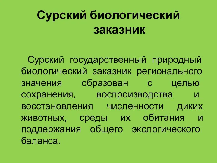 Сурский биологический заказник Сурский государственный природный биологический заказник регионального значения образован с