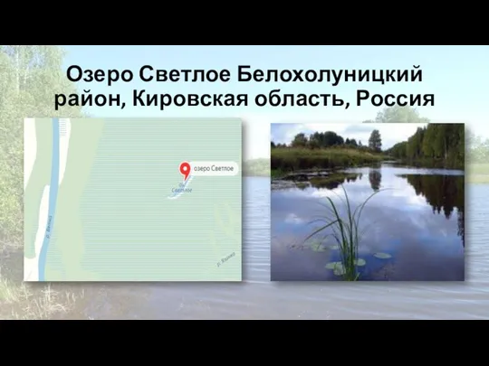 Озеро Светлое Белохолуницкий район, Кировская область, Россия