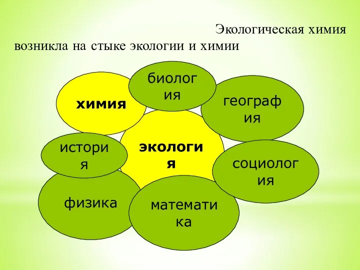 Экологическая химия возникла на стыке экологии и химии