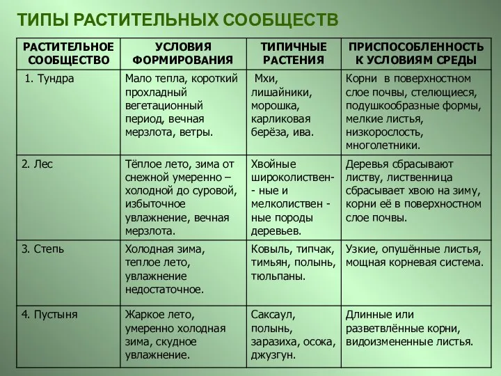 ТИПЫ РАСТИТЕЛЬНЫХ СООБЩЕСТВ