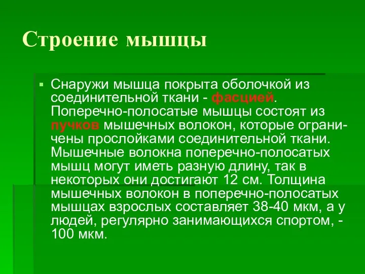 Строение мышцы Снаружи мышца покрыта оболочкой из соединительной ткани - фасцией. Поперечно-полосатые