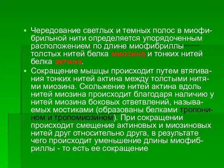 Чередование светлых и темных полос в миофи-брильной нити определяется упорядоченным расположением по