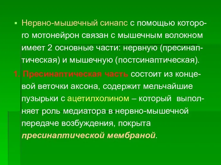 Нервно-мышечный синапс с помощью которо-го мотонейрон связан с мышечным волокном имеет 2