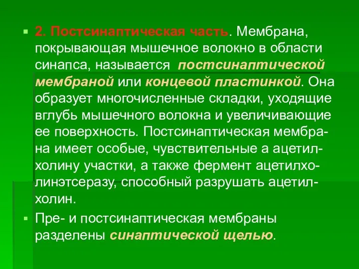 2. Постсинаптическая часть. Мембрана, покрывающая мышечное волокно в области синапса, называется постсинаптической