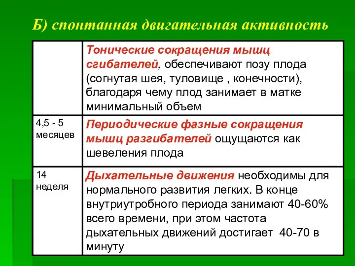 Б) спонтанная двигательная активность