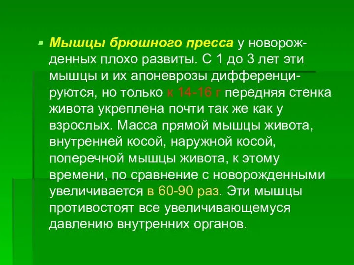 Мышцы брюшного пресса у новорож-денных плохо развиты. С 1 до 3 лет