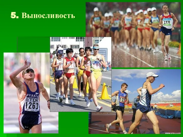 5. Выносливость