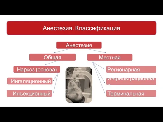 Анестезия. Классификация Анестезия Общая Местная Регионарная Инфильтрационная Терминальная Ингаляционный Инъекционный Наркоз (основа)