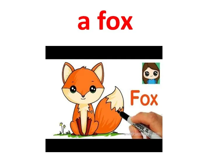 a fox