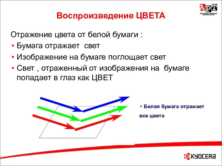 Воспроизведение ЦВЕТА Отражение цвета от белой бумаги : Бумага отражает свет Изображение