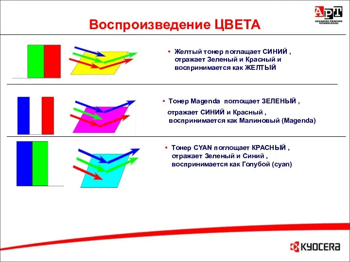 Воспроизведение ЦВЕТА Желтый тонер поглащает СИНИЙ , отражает Зеленый и Красный и