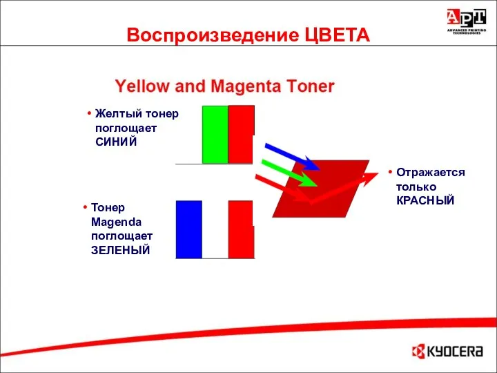Воспроизведение ЦВЕТА Отражается только КРАСНЫЙ Желтый тонер поглощает СИНИЙ Тонер Magenda поглощает ЗЕЛЕНЫЙ
