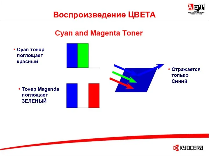 Воспроизведение ЦВЕТА Отражается только Синий Cyan тонер поглощает красный Тонер Magenda поглощает ЗЕЛЕНЫЙ