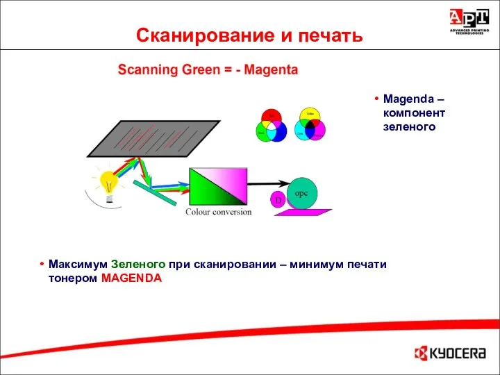 Сканирование и печать Magenda – компонент зеленого Максимум Зеленого при сканировании – минимум печати тонером MAGENDA