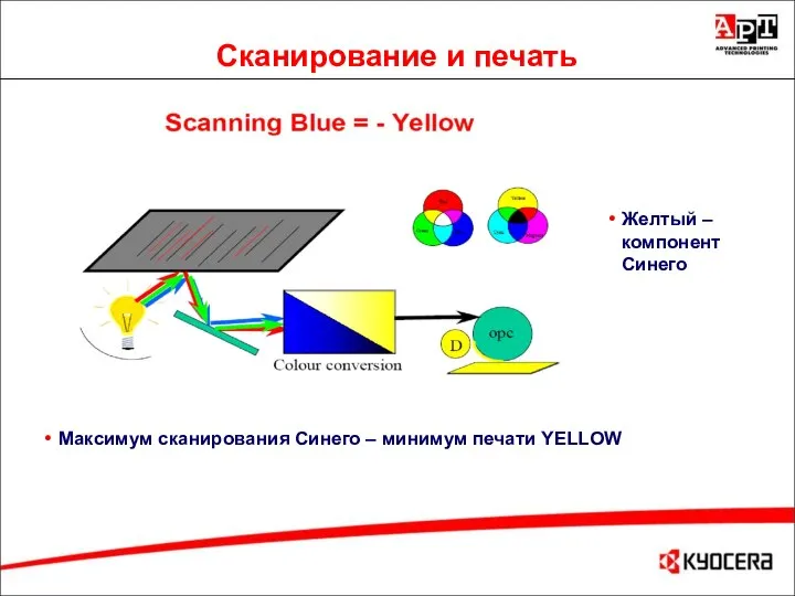 Сканирование и печать Желтый – компонент Синего Максимум сканирования Cинего – минимум печати YELLOW