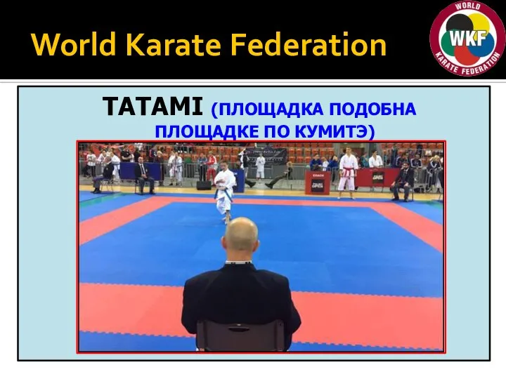 World Karate Federation TATAMI (ПЛОЩАДКА ПОДОБНА ПЛОЩАДКЕ ПО КУМИТЭ) (MÊME DIMENSION QUE LE KUMITE)