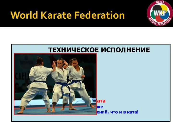 World Karate Federation ТЕХНИЧЕСКОЕ ИСПОЛНЕНИЕ BUNKAI Стойки Техника Перемещения Тайминг Контроль Фокус