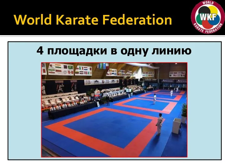 World Karate Federation 4 площадки в одну линию Coach