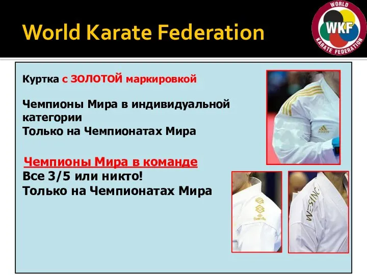 World Karate Federation Куртка с ЗОЛОТОЙ маркировкой Чемпионы Мира в индивидуальной категории