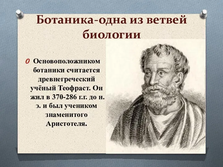 Ботаника-одна из ветвей биологии Основоположником ботаники считается древнегреческий учёный Теофраст. Он жил