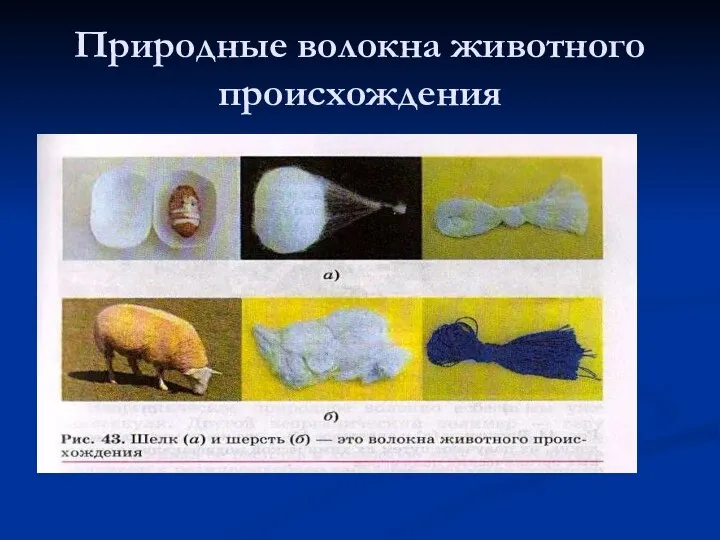 Природные волокна животного происхождения