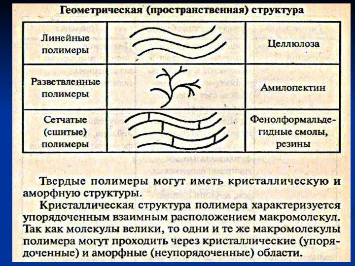 Геометрическая структура полимеров