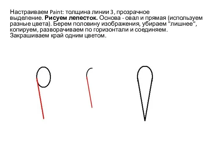 Настраиваем Paint: толщина линии 3, прозрачное выделение. Рисуем лепесток. Основа - овал