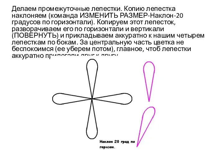 Делаем промежуточные лепестки. Копию лепестка наклоняем (команда ИЗМЕНИТЬ РАЗМЕР-Наклон-20 градусов по горизонтали).