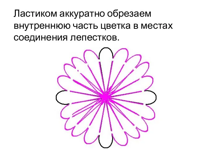 Ластиком аккуратно обрезаем внутреннюю часть цветка в местах соединения лепестков.