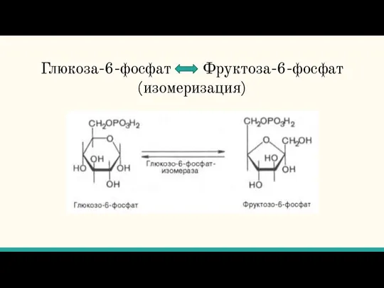 Глюкоза-6-фосфат Фруктоза-6-фосфат (изомеризация)