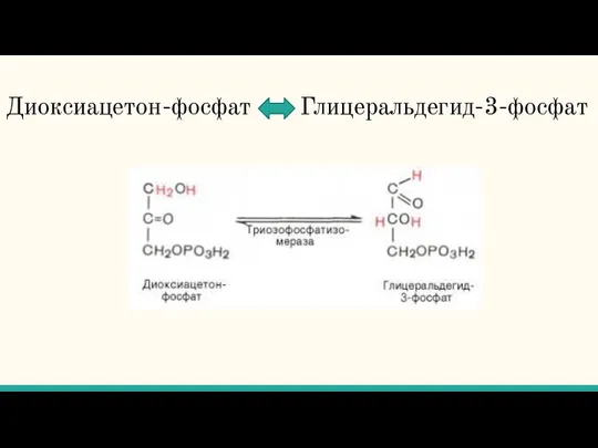 Диоксиацетон-фосфат Глицеральдегид-3-фосфат