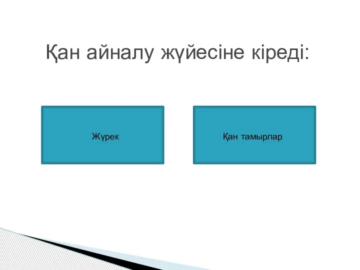 Қан айналу жүйесіне кіреді: Жүрек Қан тамырлар