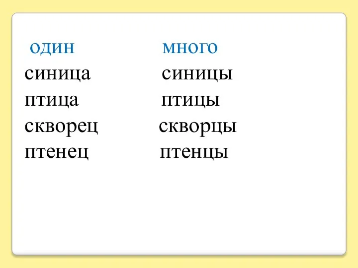 один много синица синицы птица птицы скворец скворцы птенец птенцы