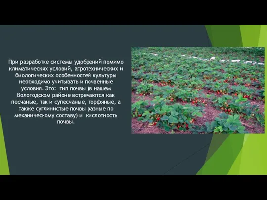 При разработке системы удобрений помимо климатических условий, агротехнических и биологических особенностей культуры