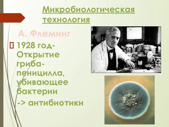 Микробиологическая технология А. Флеминг 1928 год- Открытие гриба-пеницилла, убивающее бактерии -> антибиотики