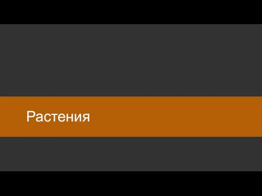 Растения