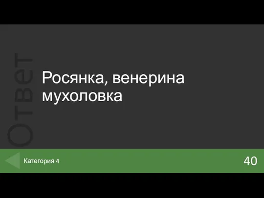 Росянка, венерина мухоловка 40 Категория 4