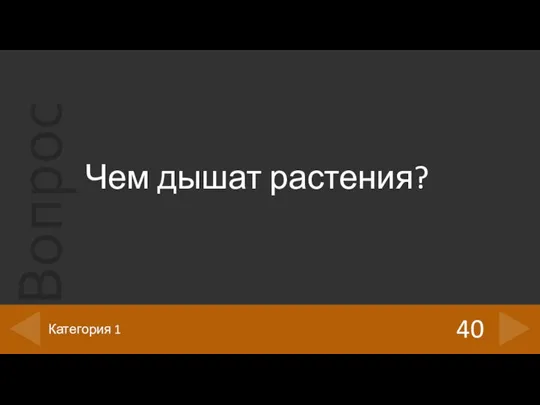 Чем дышат растения? 40 Категория 1