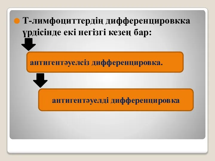 Т-лимфоциттердің дифференцировкка үрдісінде екі негізгі кезең бар: антигентәуелсіз дифференцировка. антигентәуелді дифференцировка