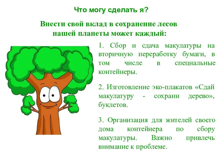 Что могу сделать я? Внести свой вклад в сохранение лесов нашей планеты