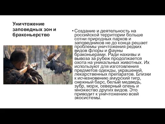 Уничтожение заповедных зон и браконьерство Создание и деятельность на российской территории больше