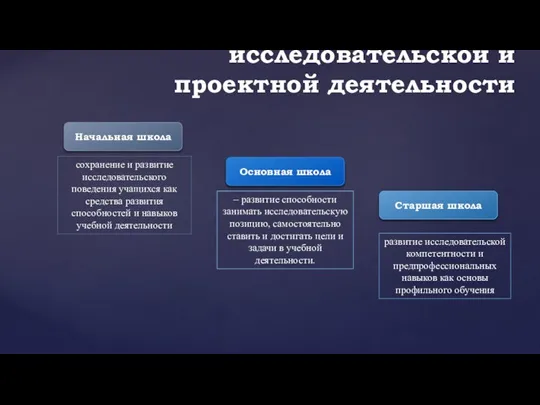 Функции исследовательской и проектной деятельности Начальная школа Основная школа Старшая школа сохранение